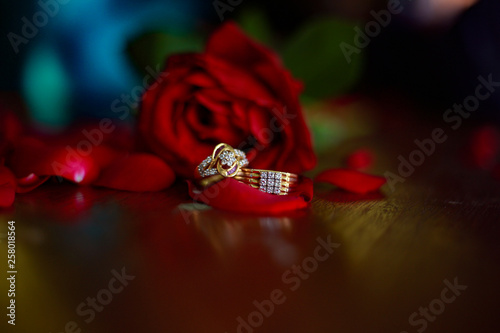 wedding rings and rose