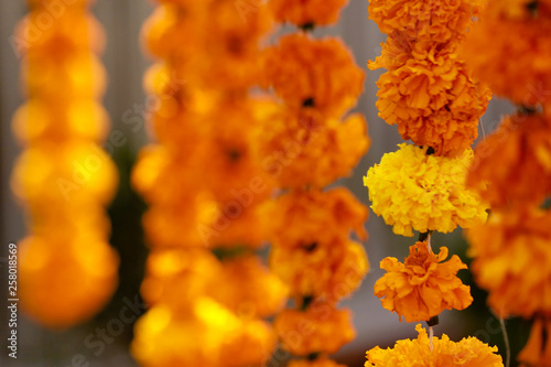 Indian traditional decoration