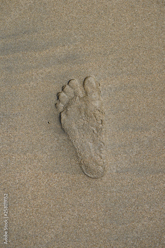 Footprint on beach
