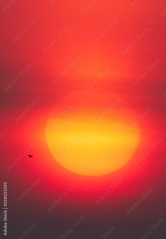 太陽 太陽