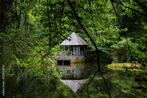 house in the forest on the lake
