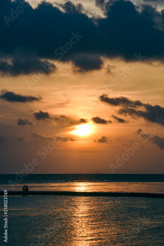 Fototapeta Naklejka Na Ścianę i Meble -  Coastline of Ko Phagnan Island in Thailand 