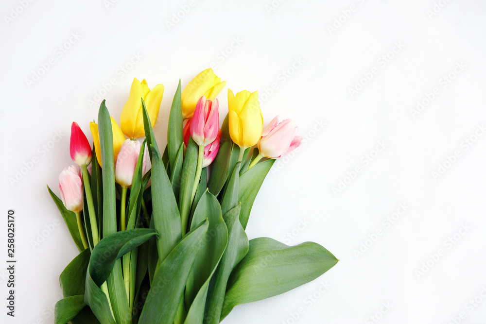 Bouquet of colored tulips on a white background. Spring flowers Bouquet of colored tulips on a white background. Spring flowers