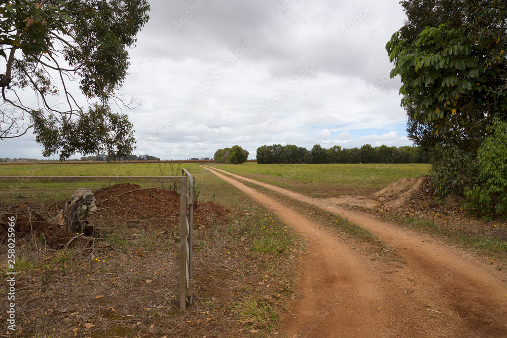 Φωτογραφία Dirt road access to a farm on the Atherton Tablelands in Tropical North Queensla