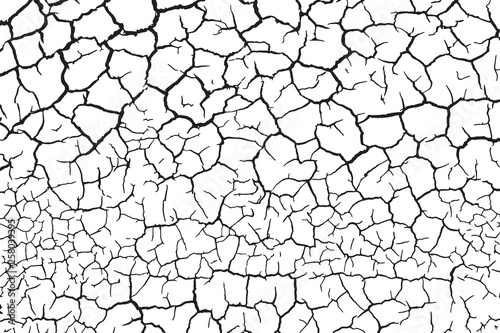 The cracks texture white and black. Vector background.Cracked earth. Structure of cracking. Cracks in dry surface soil texture. shards