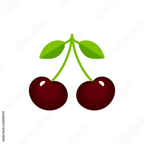 Vector illustration of two dark red ripe cherries with stem & leaves. Flat icon  of organic fresh berries. Isolated object