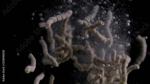 busiate, ristorante, splash, cucina, pasta, pesce, ristorazione, lavoro, difficolta'