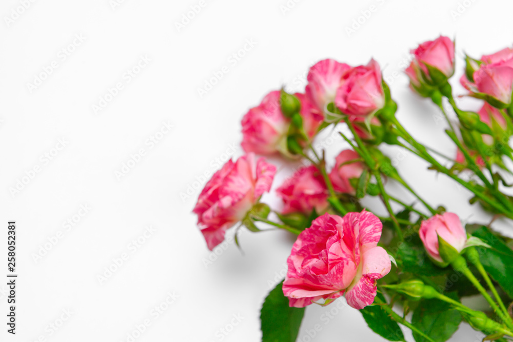 Little pink roses on white table. Gentle romantic background. Floral background