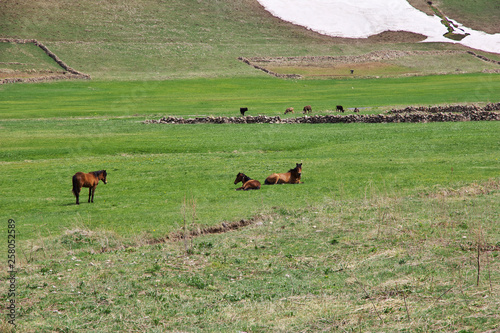 Vardenyats Pass, Selim Pass, Armenia, Caucasus photo