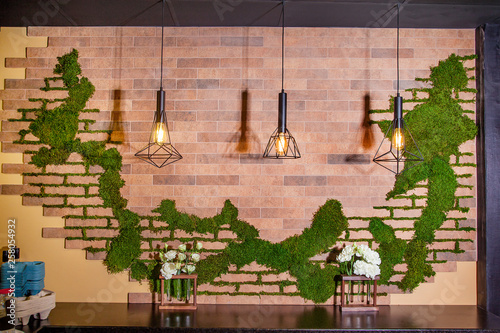 Photography of modern interior design using ornamental moss.
