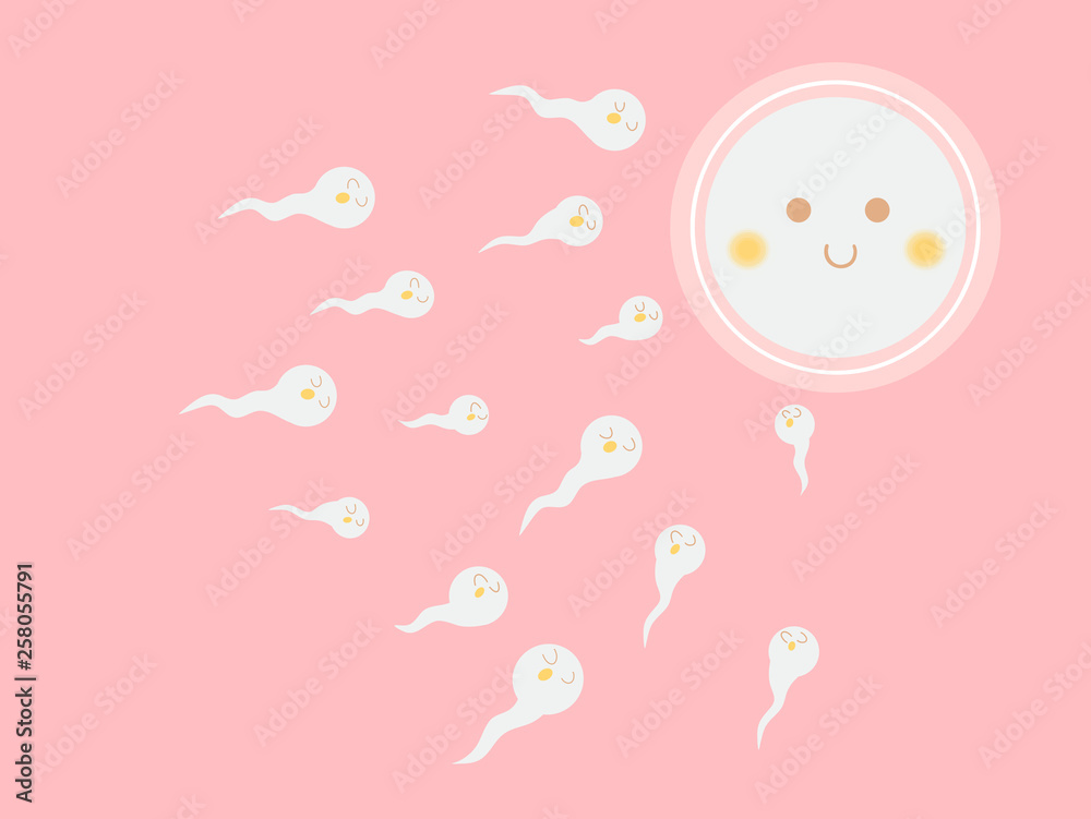 cute egg and sperm fertilization