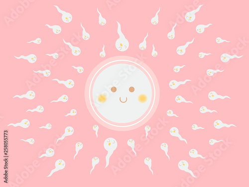 cute egg and sperm fertilization