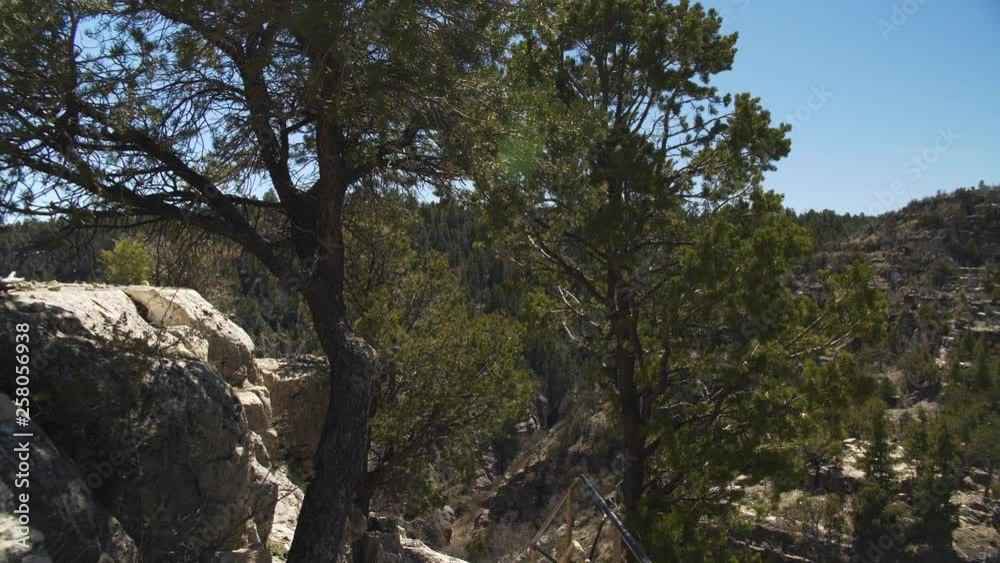 Approaching trees along a guided and railed hiking path in Walnut Canyon, AZ.