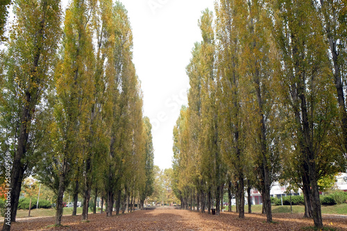 Park in Malesnica residential area, Zagreb, Croatia photo