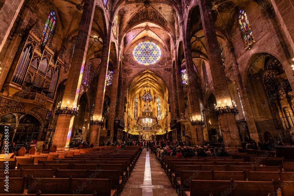 Fototapeta premium kathedrale von palma