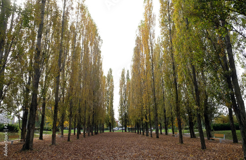 Park in Malesnica residential area, Zagreb, Croatia photo