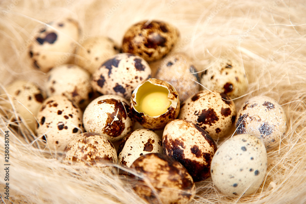 Quail easter eggs in the nest on wooden background. Quail easter eggs in the nest on wooden background.