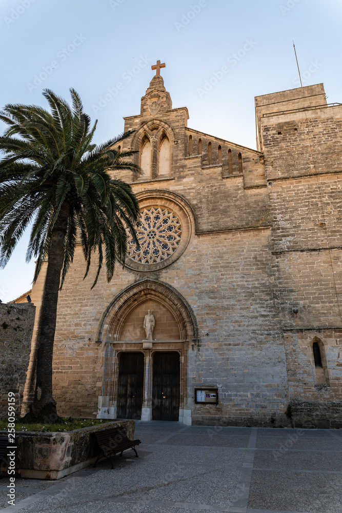 Fototapeta premium Mallorca