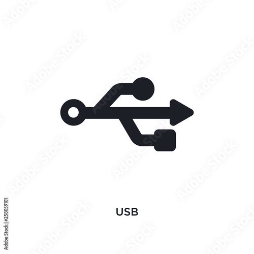 usb isolated icon. simple element illustration from electrian connections concept icons. usb editable logo sign symbol design on white background. can be use for web and mobile