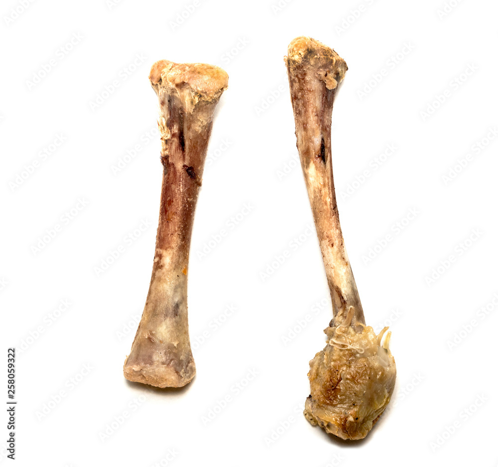 chicken bones on white background, isolate 