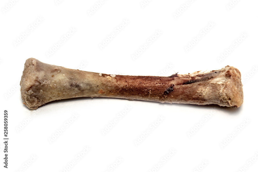 chicken bones on white background, isolate chicken bones on white background, isolate