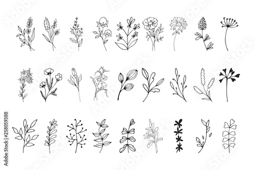 Set of hand drawn elements with floral elements and leaves, design  for invitations, greeting cards, quotes, blogs, posters.. Vector illustration.