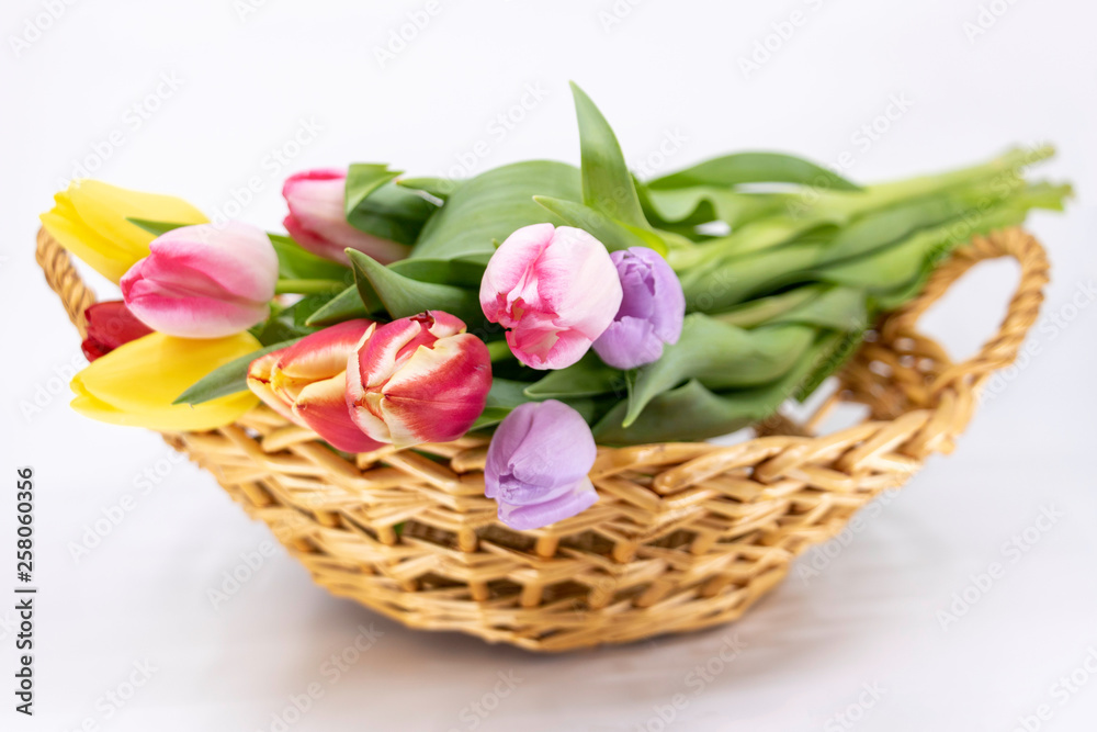 Pâques et Printemps, tulipe en bouquet