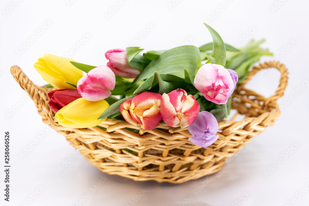 Vue de face d'un bouquet de tulipe pour le printemps et fêtes de Pâques Vue de face d'un bouquet de tulipe pour le printemps et fêtes de Pâques