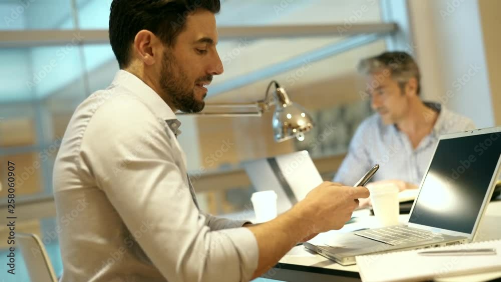Handsome businessman working in modern office Handsome businessman working in modern office