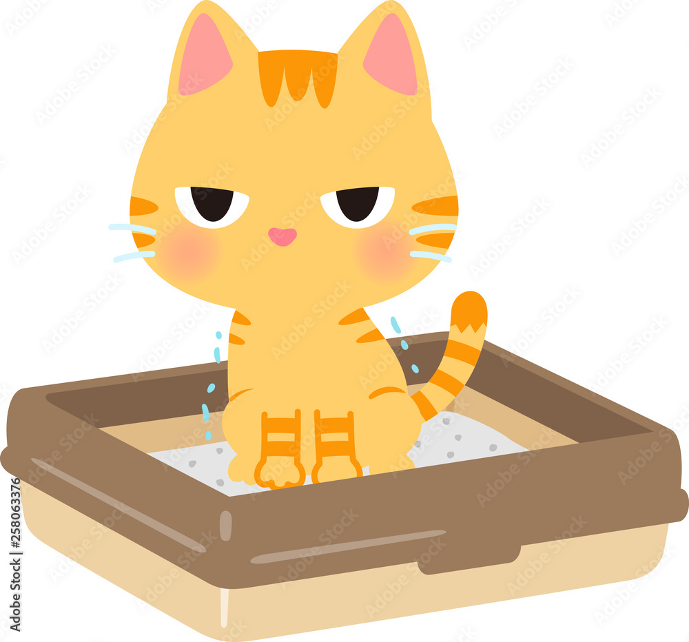 猫用トイレで用を足す猫 Stock ベクター Adobe Stock