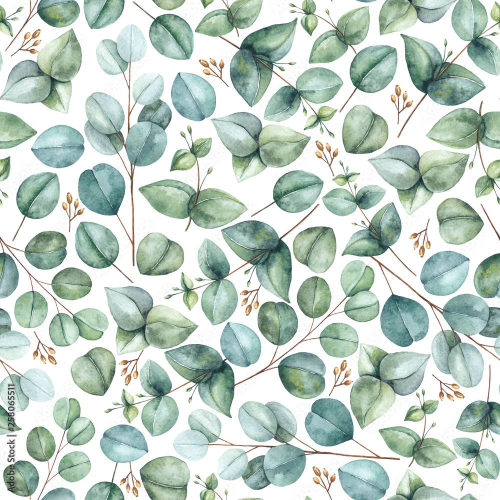 Seamless floral pattern with eucalyptus on a white background Seamless floral pattern with eucalyptus on a white background