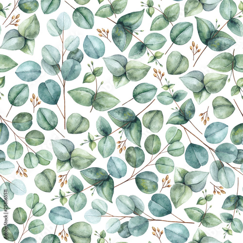 Seamless floral pattern with eucalyptus on a white background