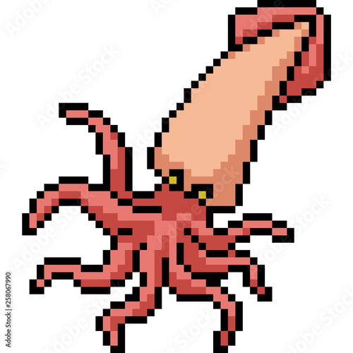 vector pixel art squid