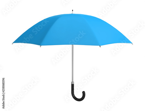 umbrella protection rain accessory