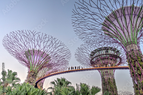 Singapore, Gardens by the Bay, HDR image
