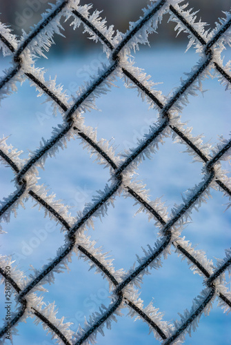 Fence frost winter abstract ice nature science
