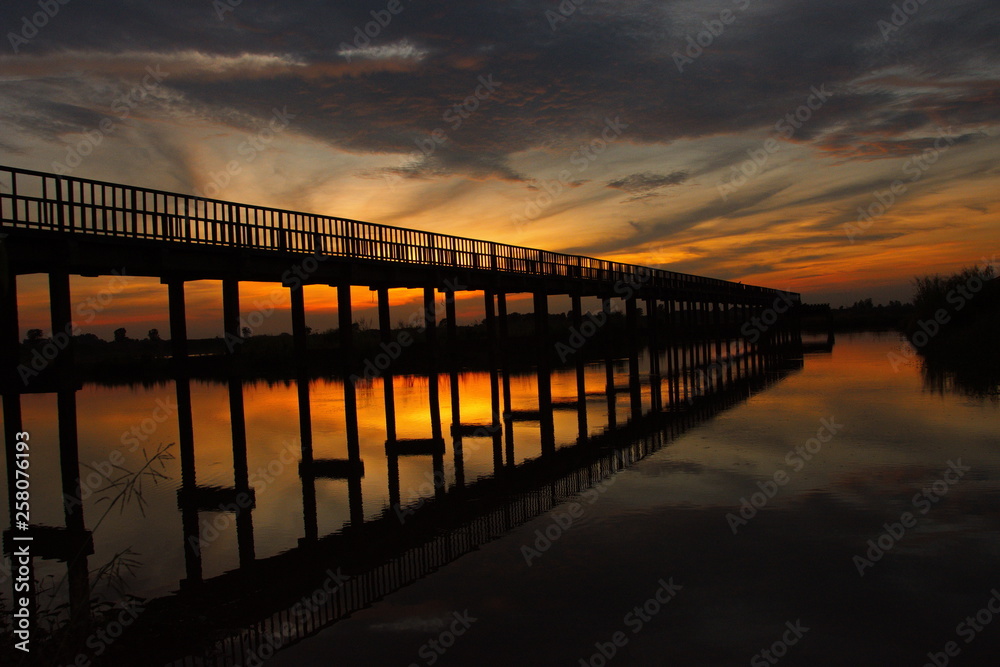 The background reflects the water of the wooden bridge walking in the freshwater lake during the twilight.