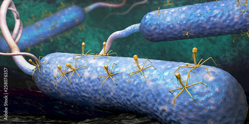 Fotografie Bacteriophage or phage virus attacking and infecting a bacteria - 3d illustratio