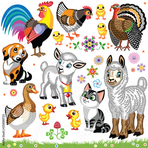 set of cartoon farm animals . Collection for baby and little kid. Vector illustrations isolated on white background