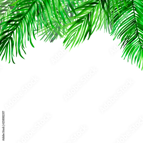 Watercolour background with palm leaves on top