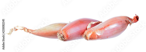 Unpeeled Shallot onion bulbs isolated on white background