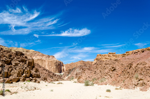 green bushes on the sand in a canyon in the desert against the backdrop of mountains and a blue sky with clouds in Egypt Dahab South Sinai