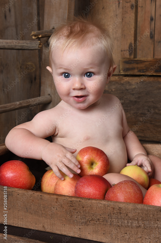 Fototapeta premium child in a crate with apples