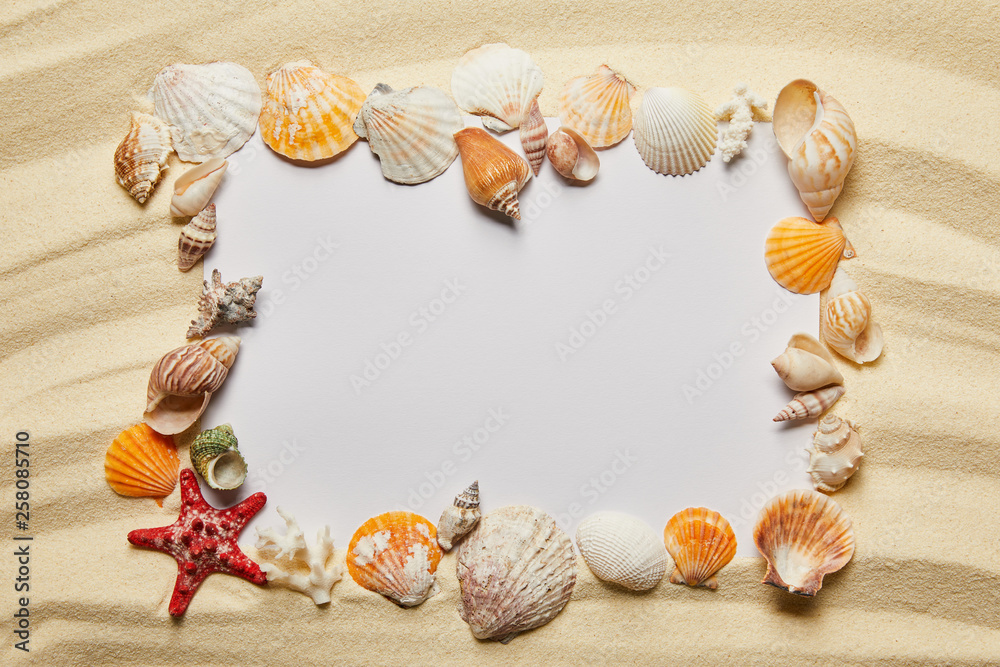 Obraz premium frame of seashells near blank placard on sandy beach