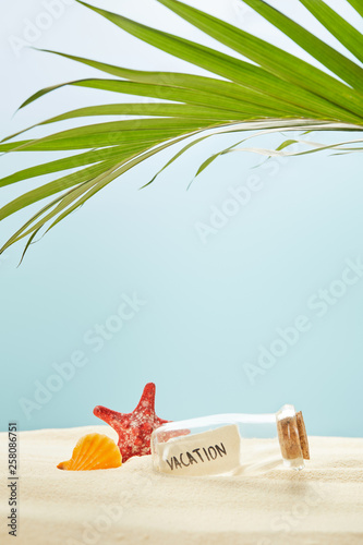 green palm leaf near glass bottle with vacation lettering on paper and seashell with starfish on sand isolated on blue