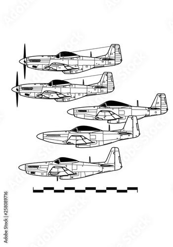 North American P-51 MUSTANG. Outline drawing