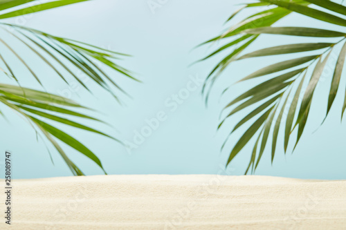 green palm leaves near golden sand on blue