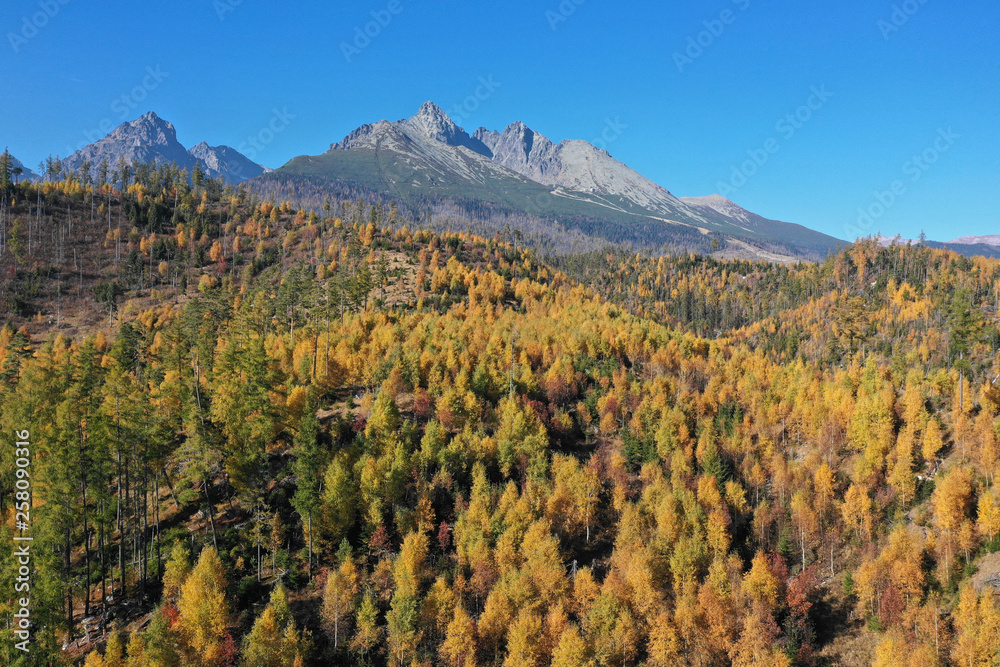 Fototapeta premium mountains on a sunny day with forest in colors of autumn