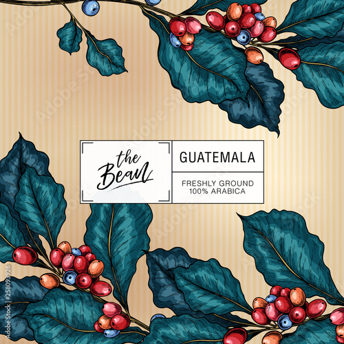 Coffee set. Hand drawn coffee branch. Vector colored engraved icon. Packaging design in retro style. Label template, brand identity, coffee shop, restaurant or cafe menu. Trendy barista branding.