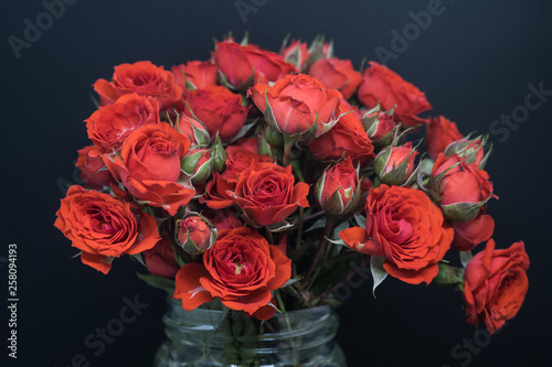 red miniature rose bouquet on black background 